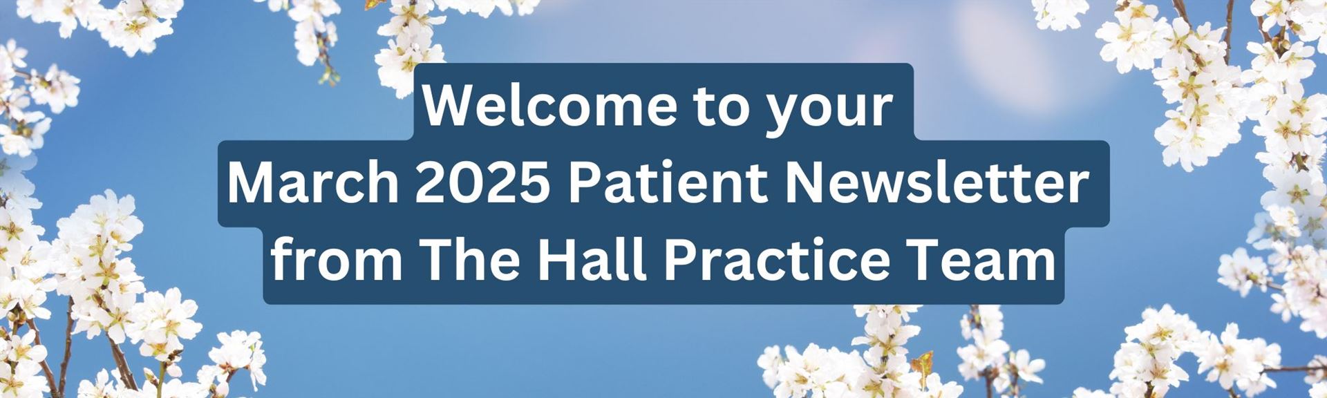 Newsletter Header March 2025